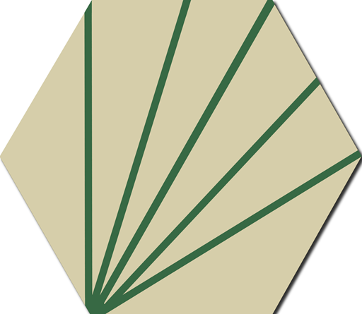5 RAYS